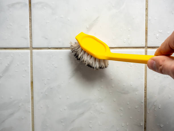 Best Kitchen Mold Remediation in Deenwood, GA