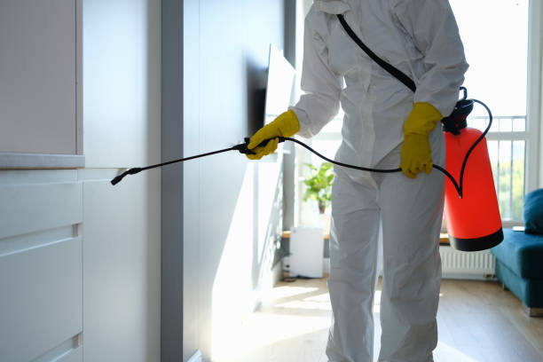 Best Mold Testing and Inspection Services in Deenwood, GA