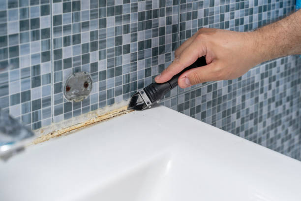 Best Mold Remediation for Schools in Deenwood, GA
