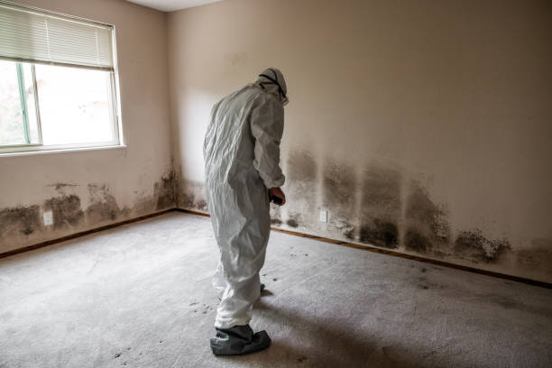 Best HVAC Mold Remediation in Deenwood, GA